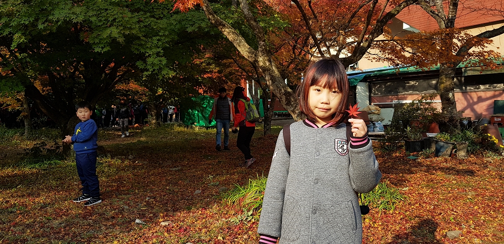 201711061122510001.jpg
