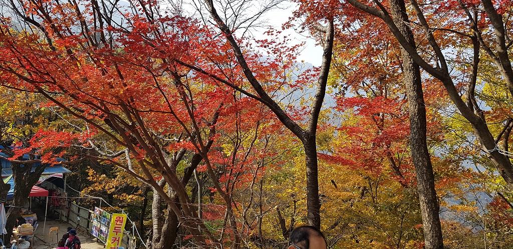 201711061132070001.jpg
