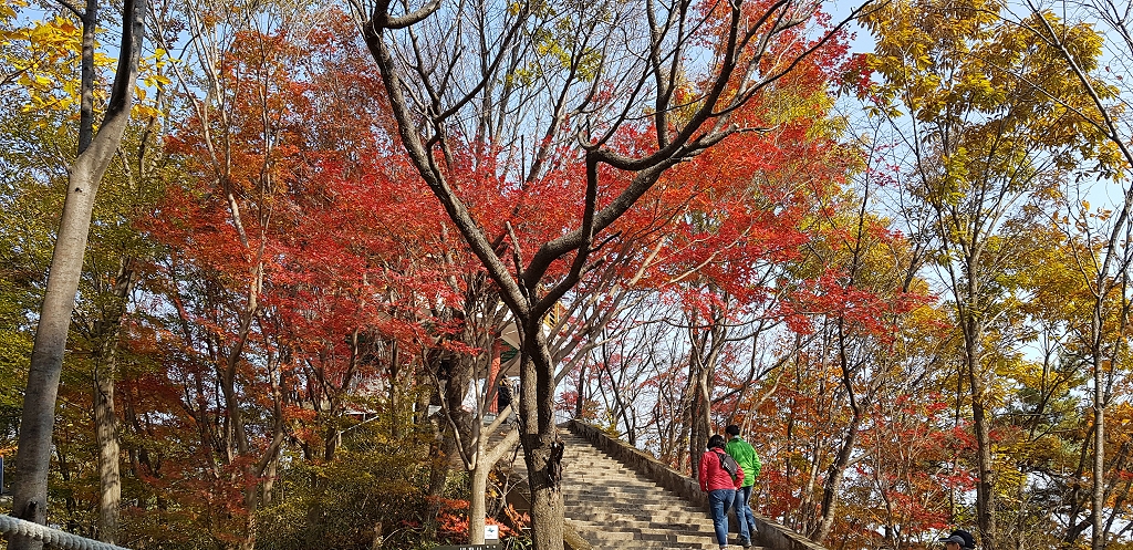 201711061132100001.jpg
