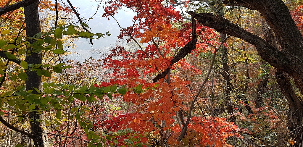 201711061132140001.jpg