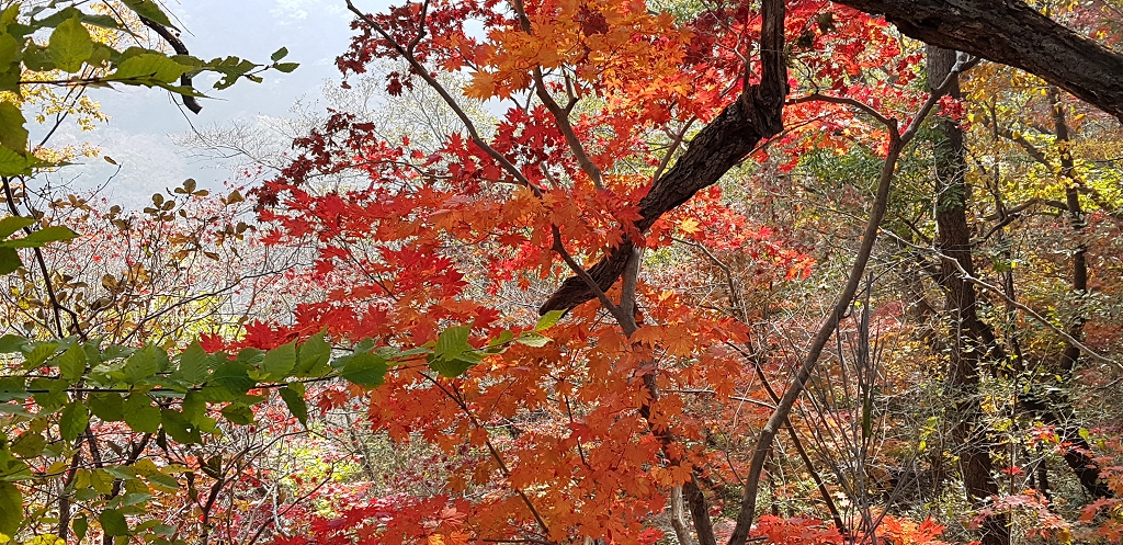 201711061132150001.jpg