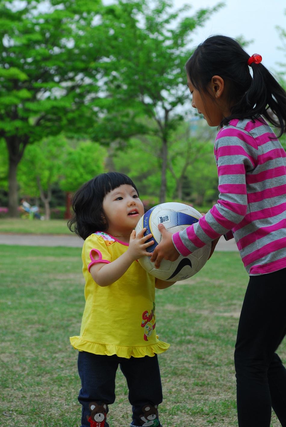  LSY_0322.JPG 