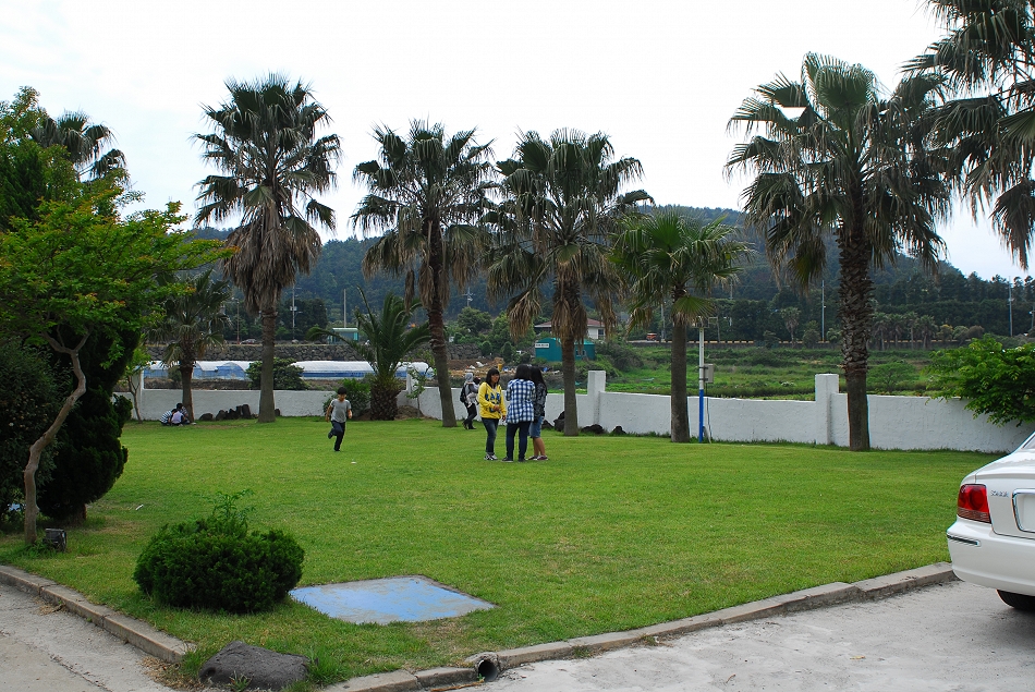  LSY_0281.JPG 