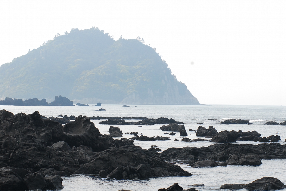  LSY_0087.JPG 