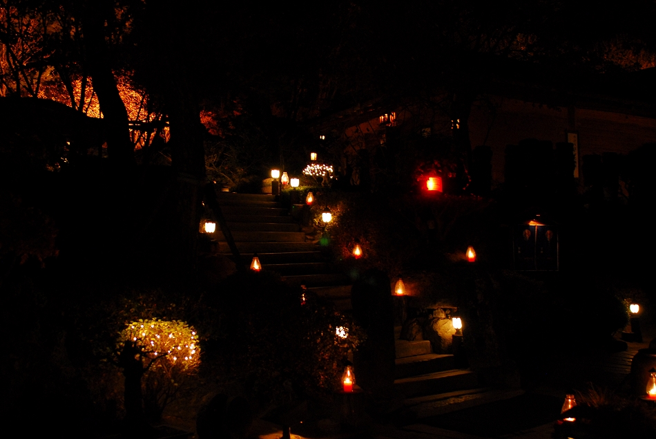 DSC_0196.JPG