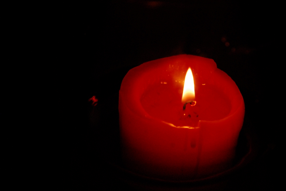 DSC_0227.JPG
