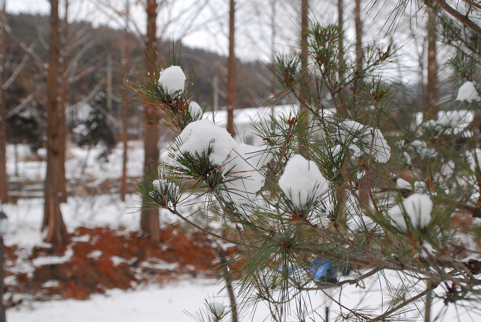 DSC_0024.JPG