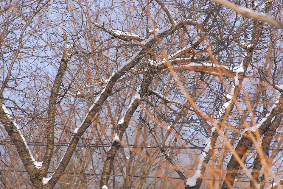 DSC_0324.JPG