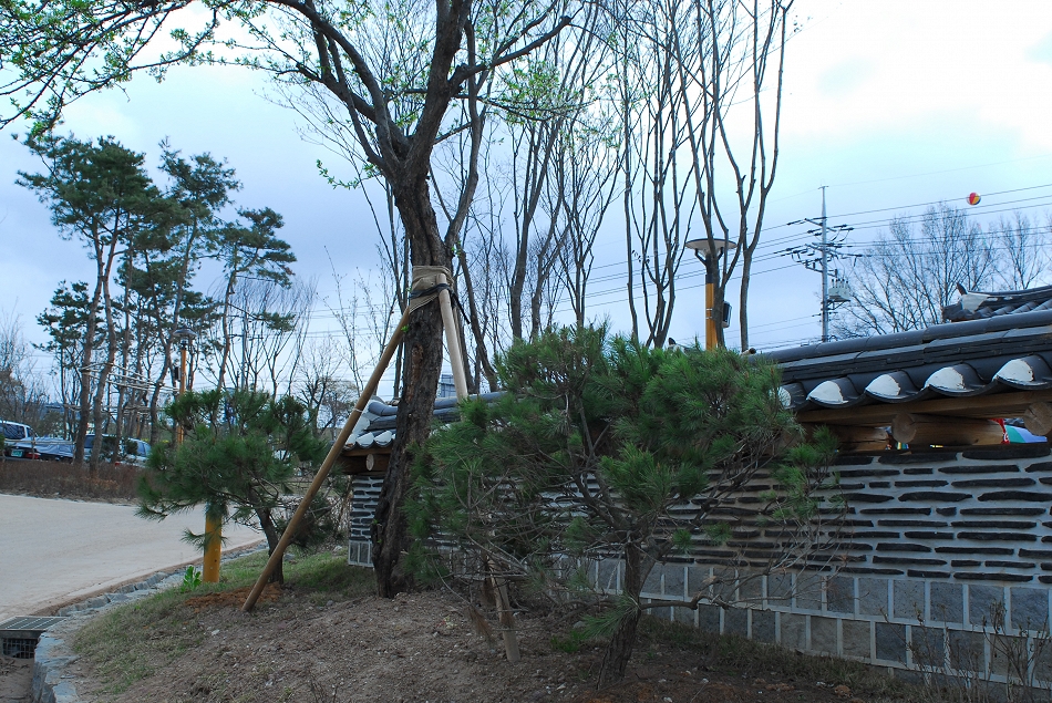 DSC_0060.JPG