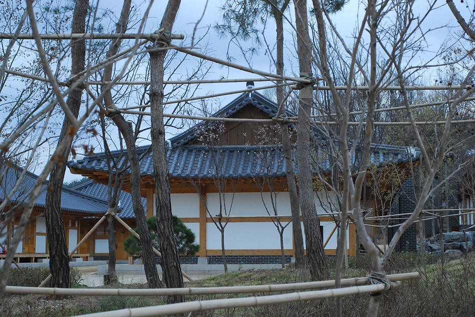 DSC_0091.JPG