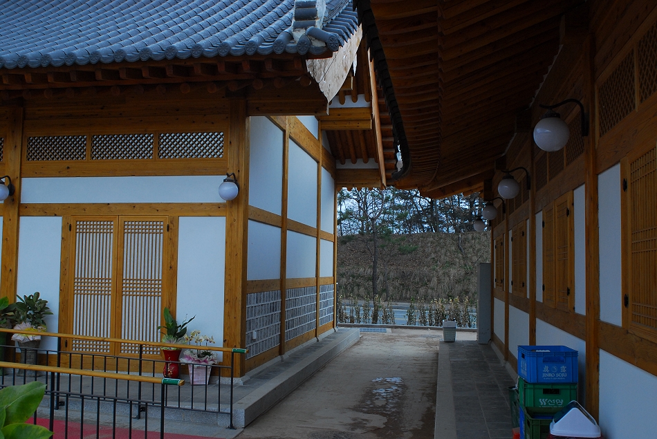 DSC_0102.JPG