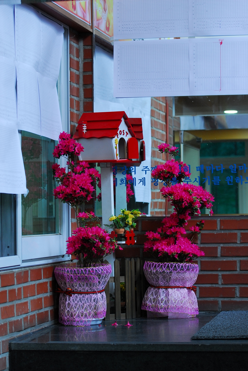 DSC_0024.JPG