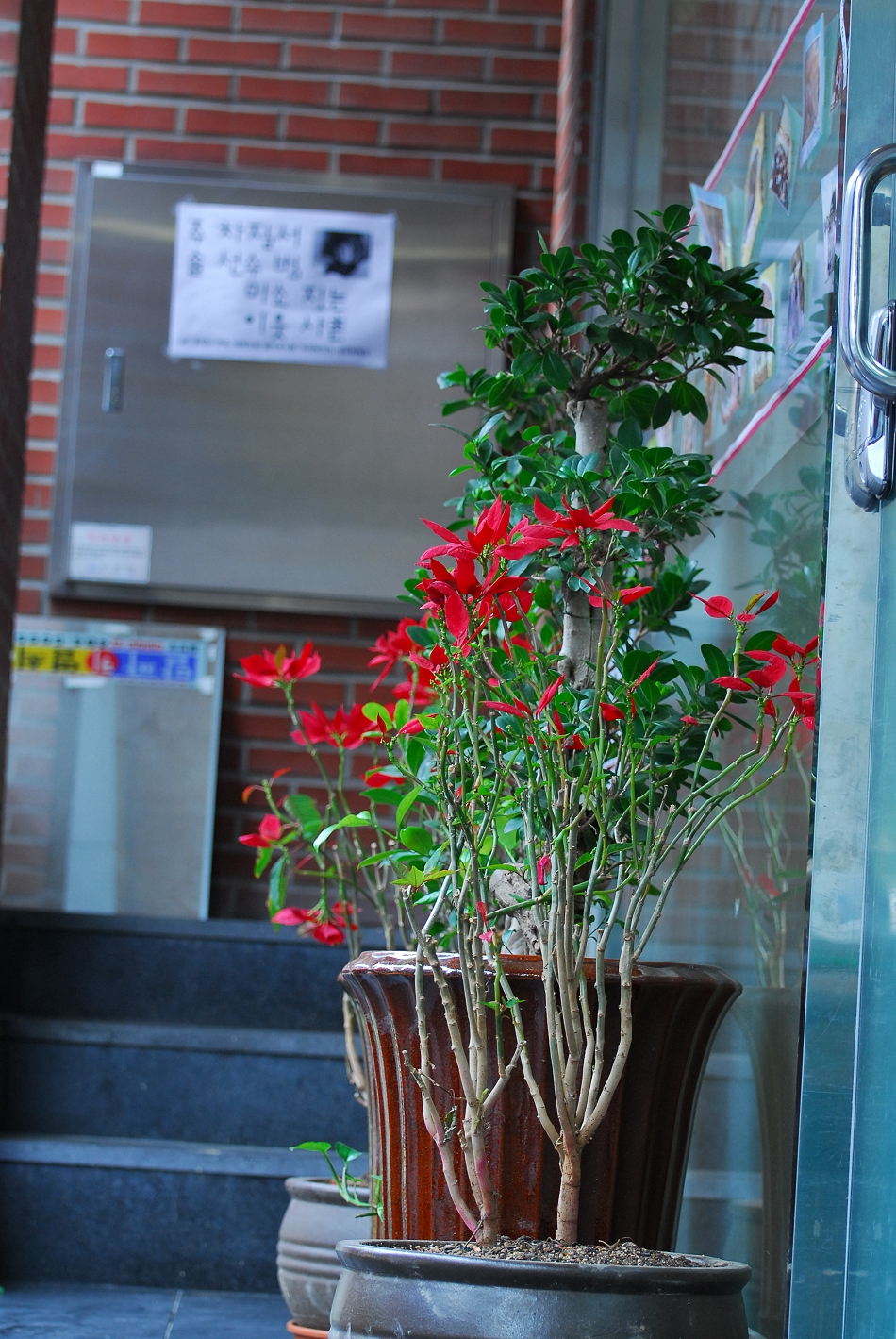 DSC_0026.JPG