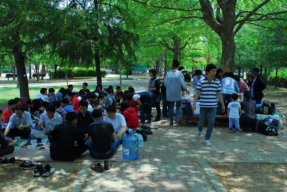 DSC_0008.JPG