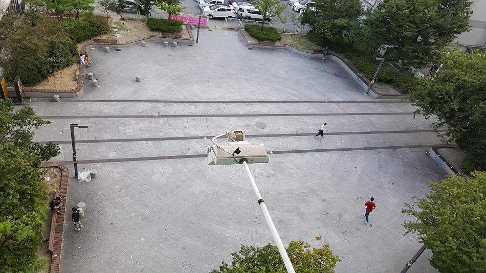 6959.jpg