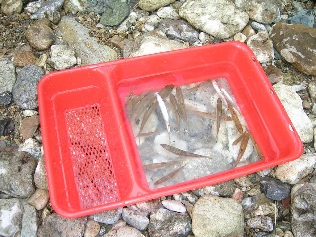 DSCN1844.JPG