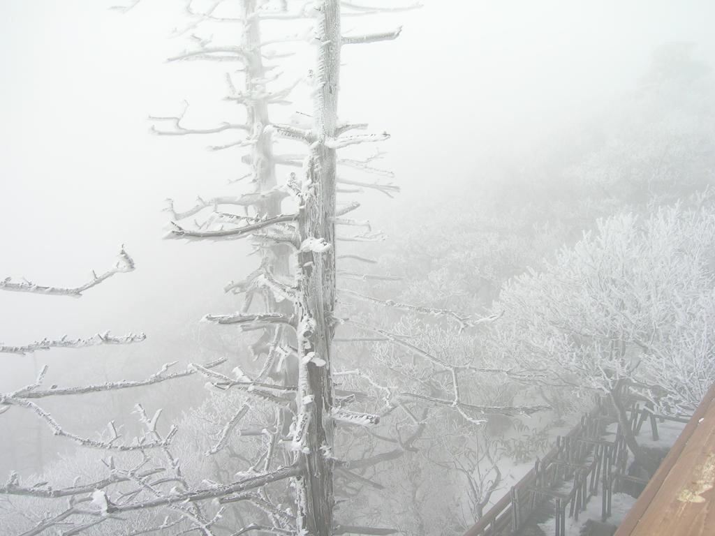 DSCN6907.JPG