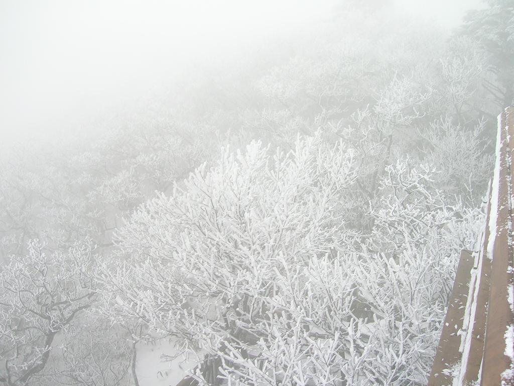 DSCN6908.JPG