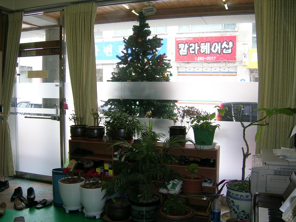 DSCN2765.JPG