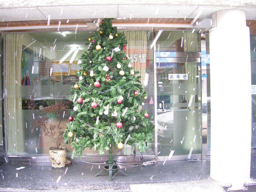 DSCN2768.JPG