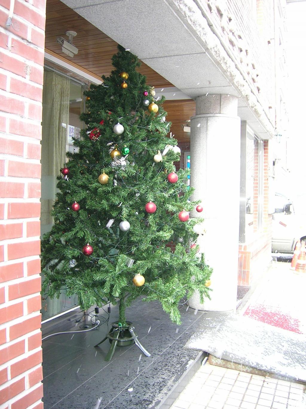 DSCN2770.JPG