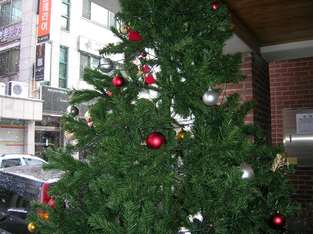 DSCN2771.JPG