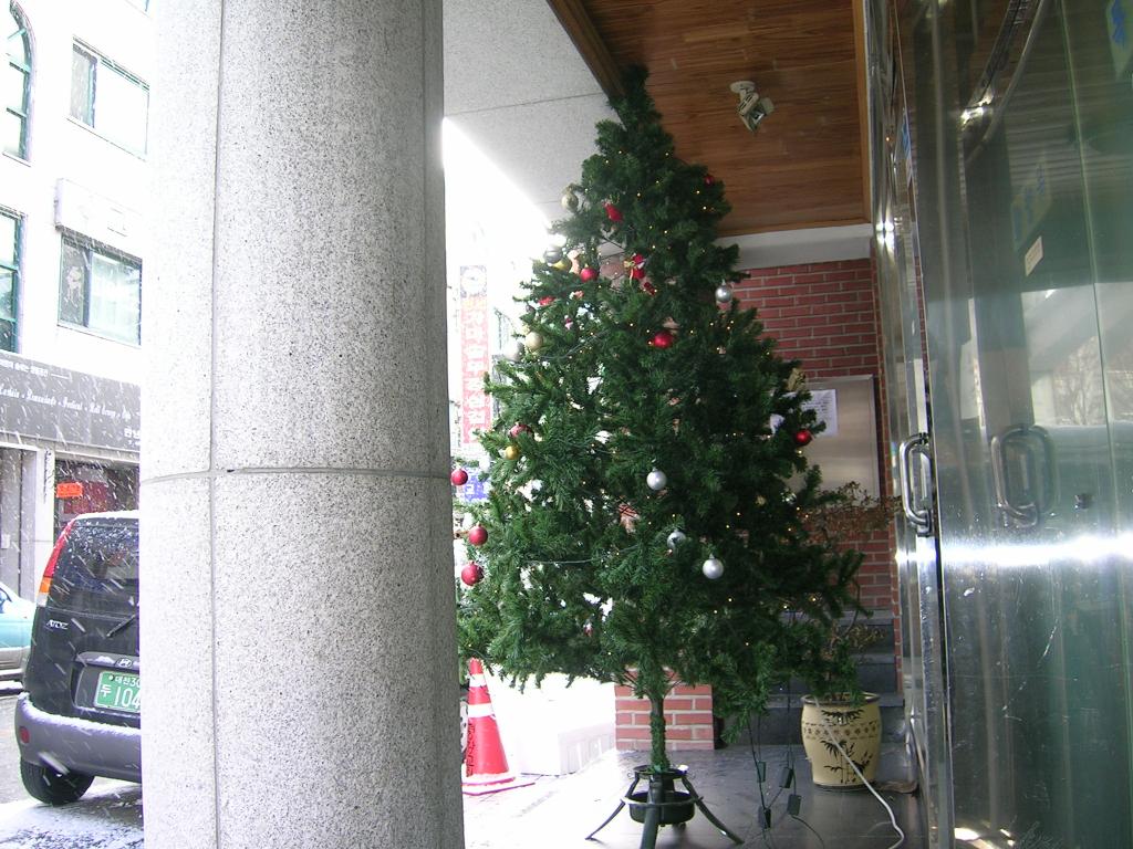 DSCN2772.JPG