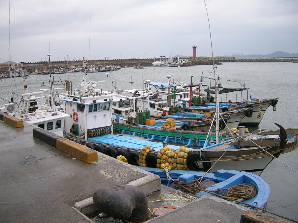 DSCN5442.JPG