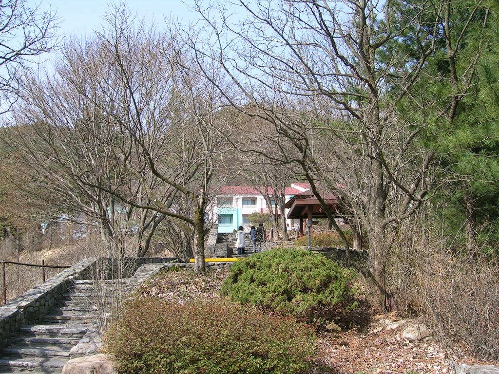 DSCN3365.JPG