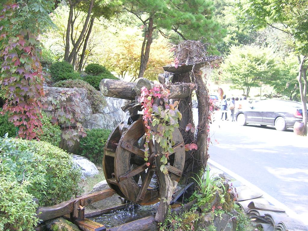 DSCN5669.JPG