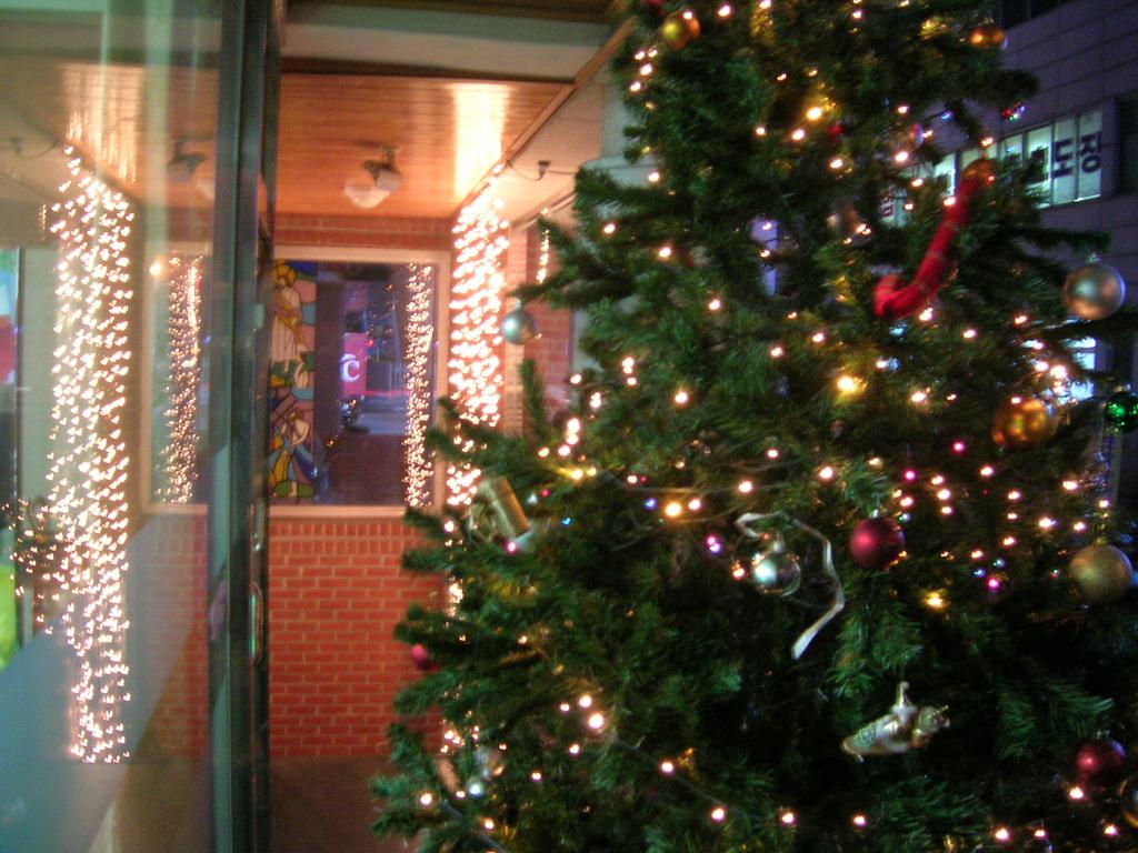 DSCN2566.JPG