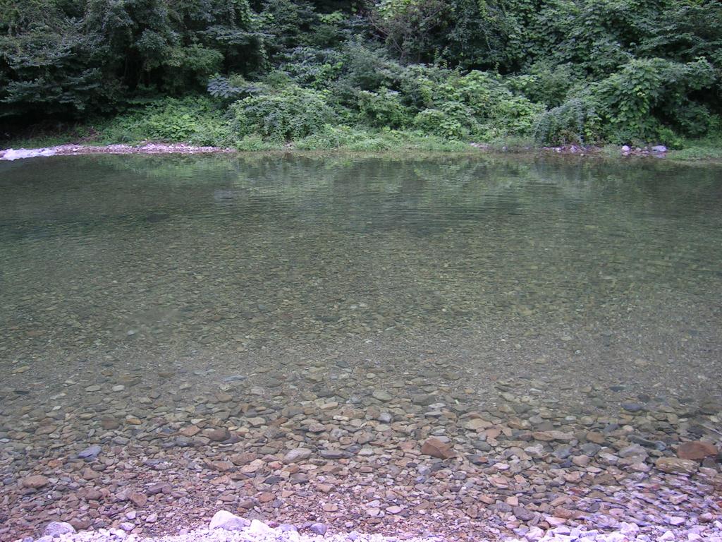 DSCN1538.JPG