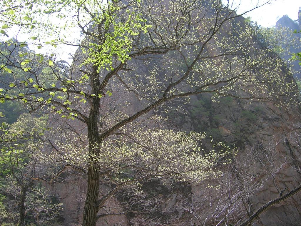 DSCN4138.JPG