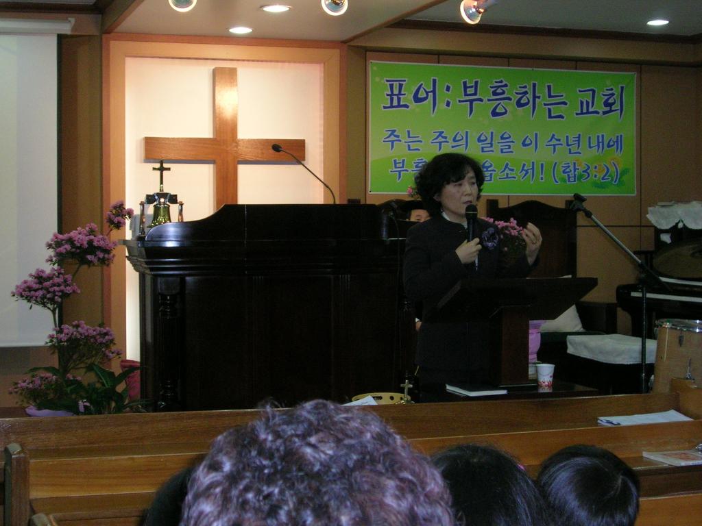 DSCN2813.JPG