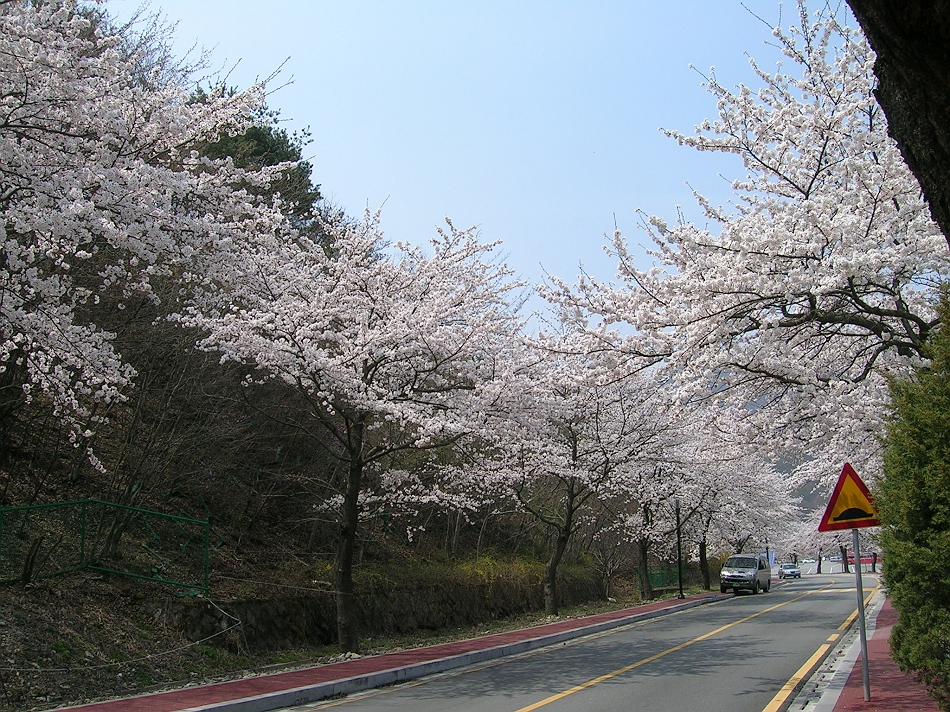  DSCN7213.JPG 