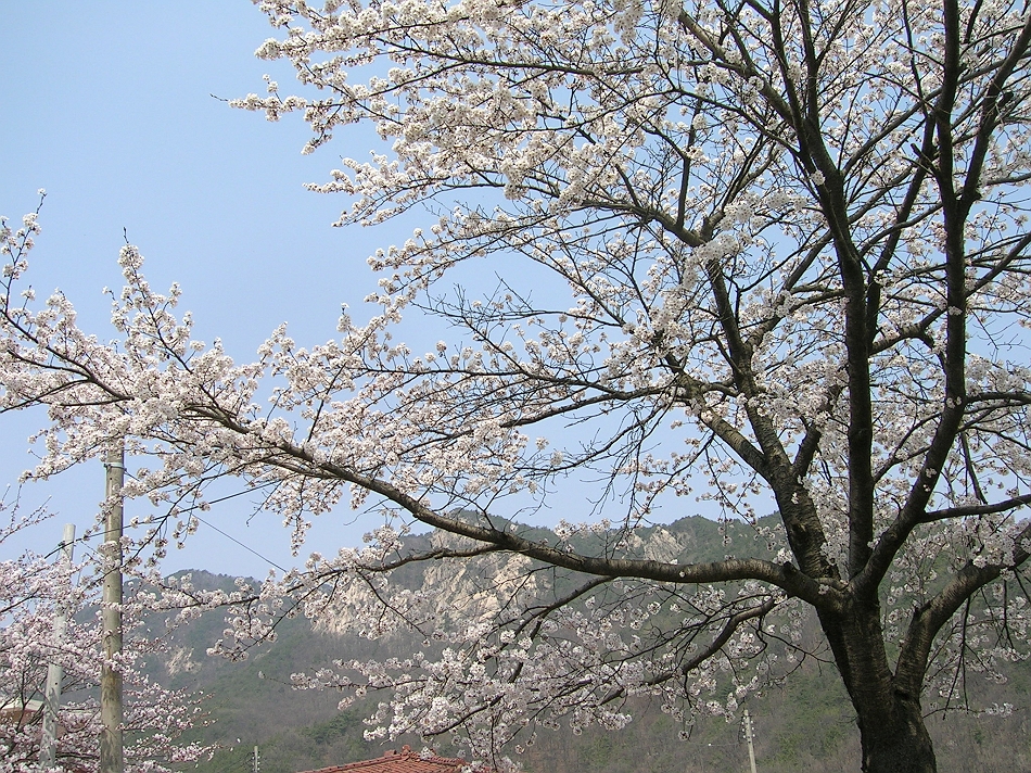  DSCN7206.JPG 