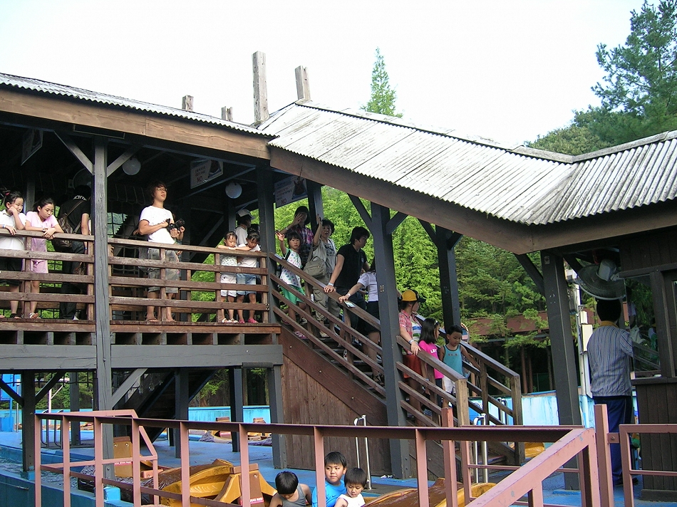  DSCN8456.JPG 