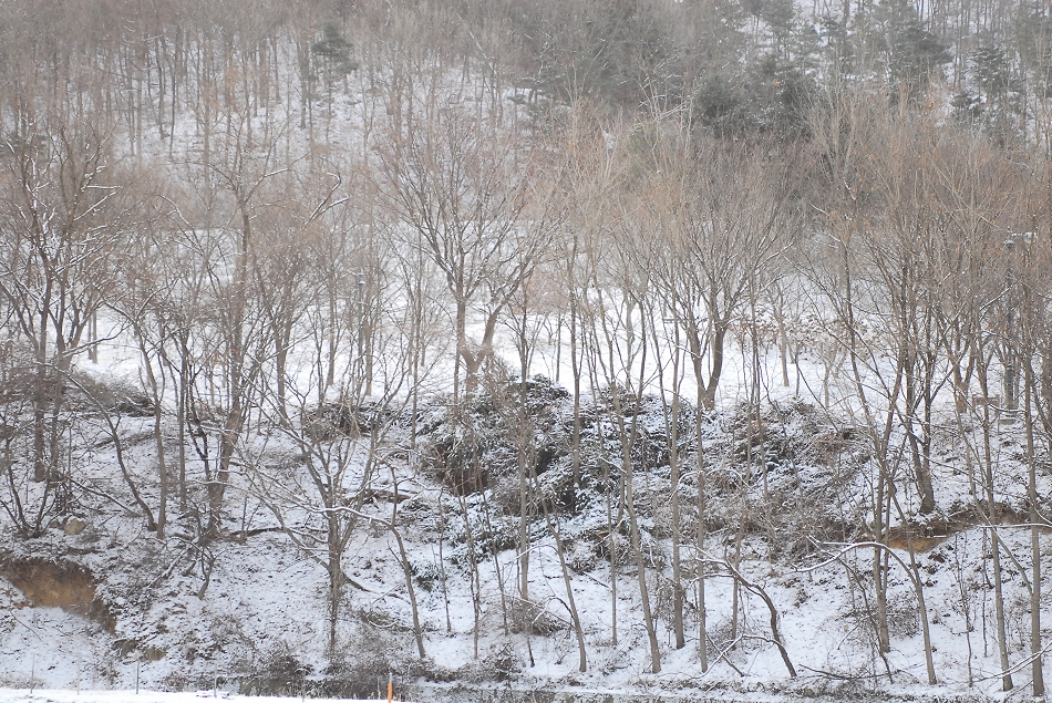  LSY_0435.JPG 