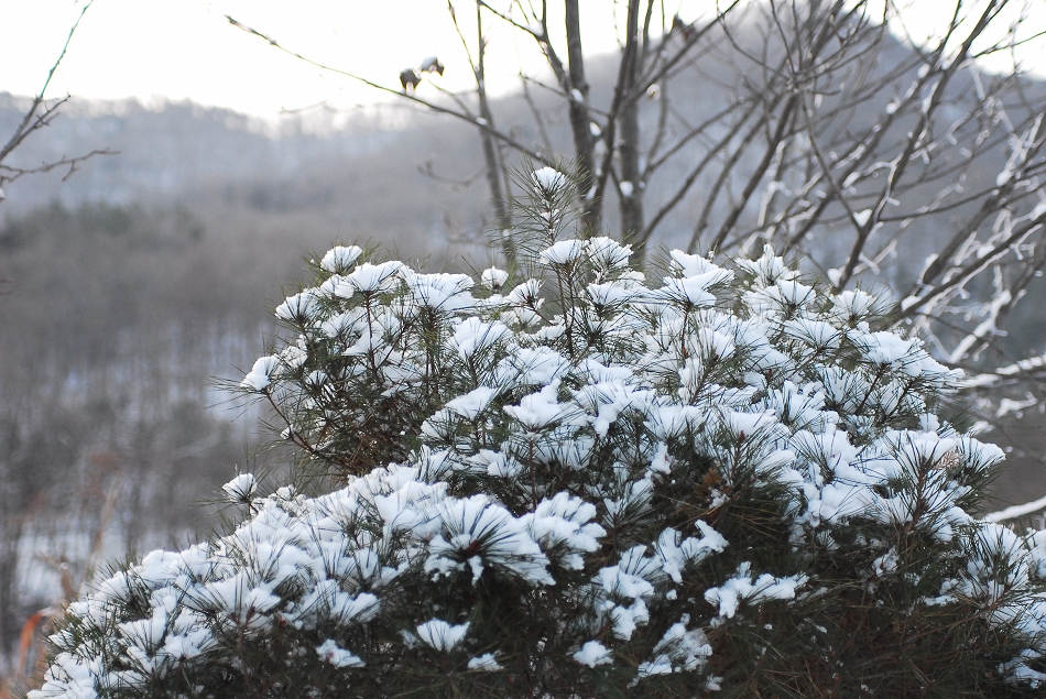  LSY_0411.JPG 