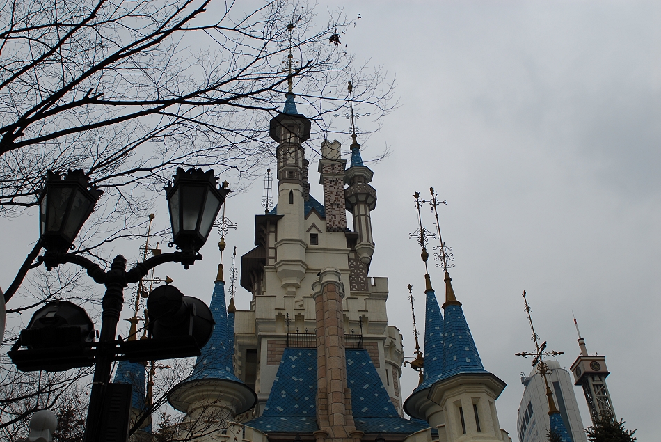  LSY_0307.JPG 