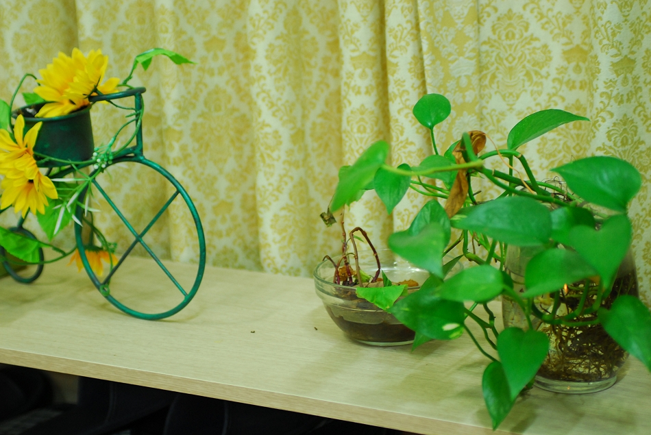  LSY_0009.JPG 