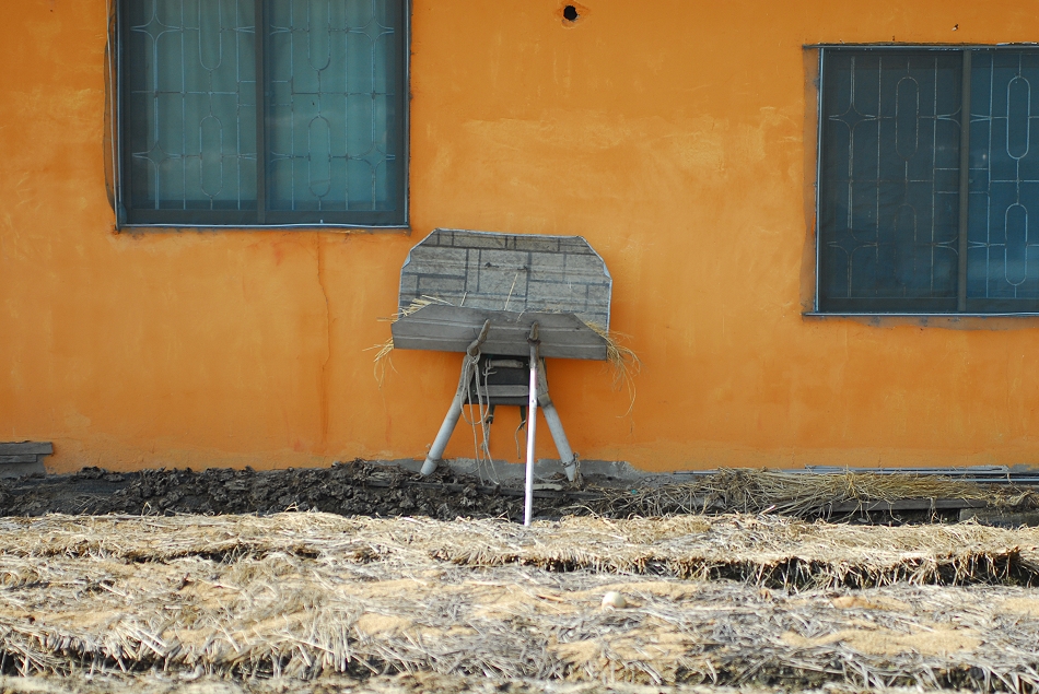  LSY_0113.JPG 