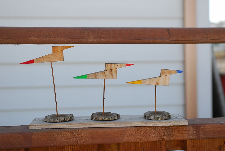  LSY_0084.JPG 