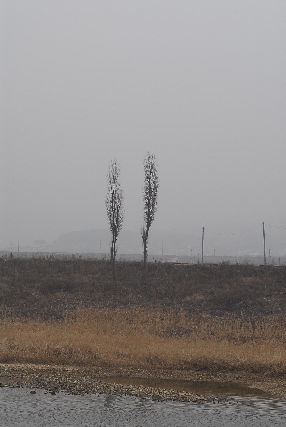  LSY_0027.JPG 