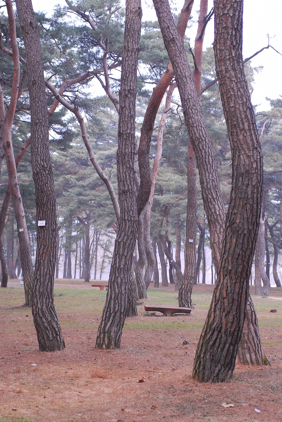  LSY_0197.JPG 
