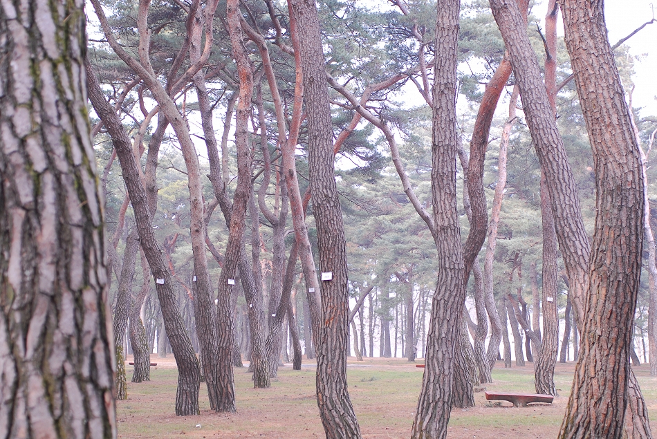  LSY_0199.JPG 