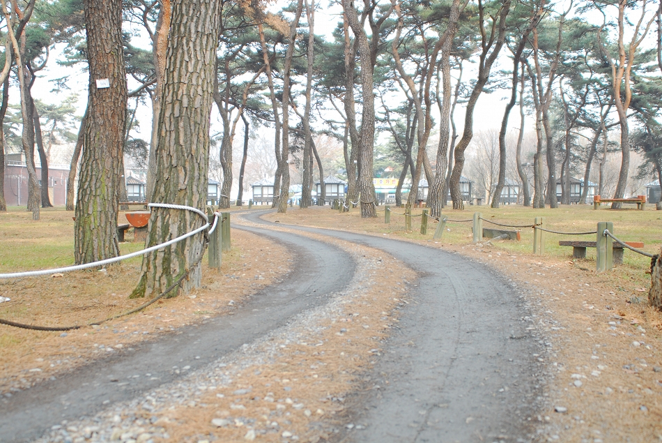  LSY_0159.JPG 