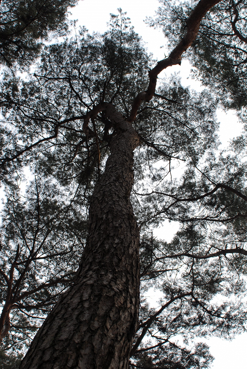  LSY_0119.JPG 