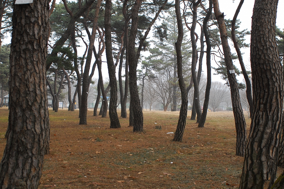  LSY_0086.JPG 