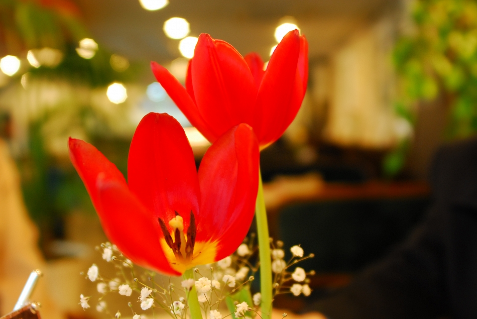  LSY_0032.JPG 